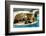 2333542.jp-Peter Thompson-Framed Photographic Print