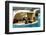 2333542.jp-Peter Thompson-Framed Photographic Print