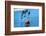 2333544.jp-Peter Thompson-Framed Photographic Print