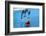 2333544.jp-Peter Thompson-Framed Photographic Print