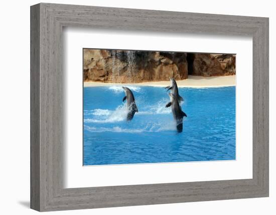 2333545.jp-Peter Thompson-Framed Photographic Print