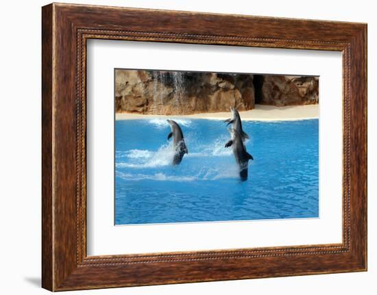 2333545.jp-Peter Thompson-Framed Photographic Print