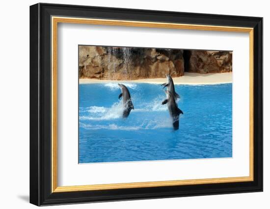 2333545.jp-Peter Thompson-Framed Photographic Print