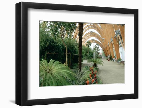 2333912.jp-Peter Thompson-Framed Photographic Print