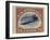 24-Cent U.S. Postage Stamp with an Inverted Jenny-null-Framed Art Print