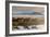 241-Dan Ballard-Framed Photographic Print