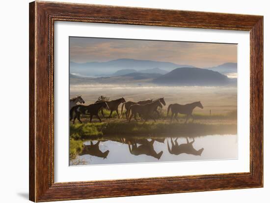 241-Dan Ballard-Framed Photographic Print