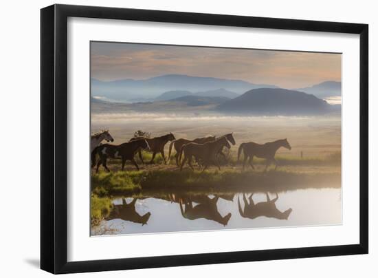 241-Dan Ballard-Framed Photographic Print