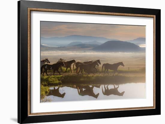 241-Dan Ballard-Framed Photographic Print