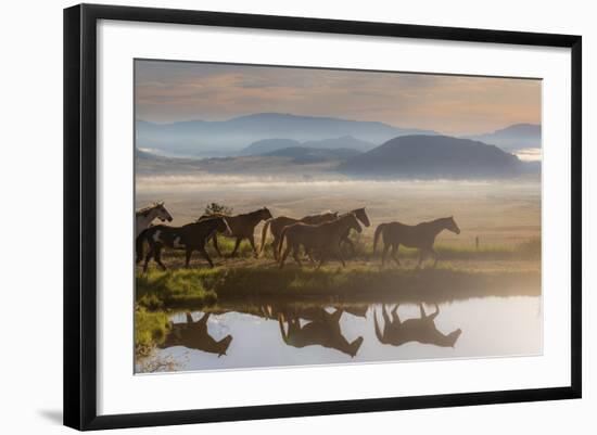 241-Dan Ballard-Framed Photographic Print