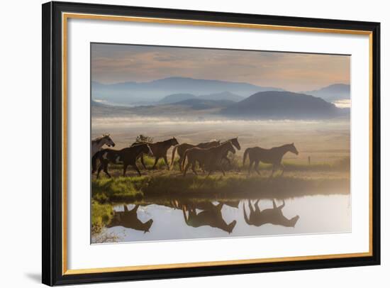 241-Dan Ballard-Framed Photographic Print