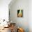 24CO-Pierre Henri Matisse-Framed Premier Image Canvas displayed on a wall