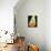 24CO-Pierre Henri Matisse-Mounted Giclee Print displayed on a wall