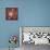25 Days Til'Christmas 013-LightBoxJournal-Mounted Giclee Print displayed on a wall