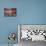 25 Days Til'Christmas 038-LightBoxJournal-Mounted Giclee Print displayed on a wall