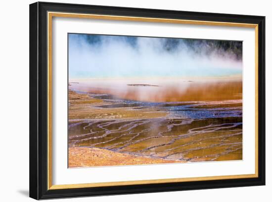 251-Dan Ballard-Framed Photographic Print