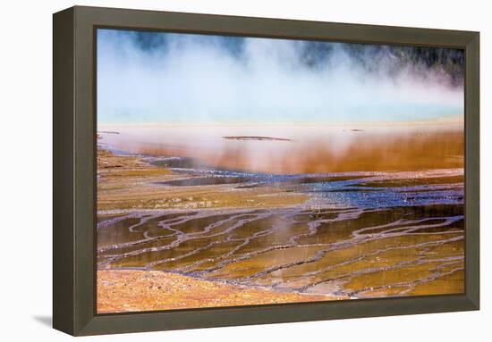 251-Dan Ballard-Framed Premier Image Canvas