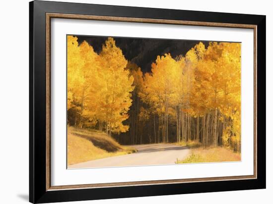 255-Dan Ballard-Framed Photographic Print