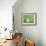 25COF-Pierre Henri Matisse-Framed Giclee Print displayed on a wall