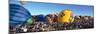 25th Albuquerque International Balloon Fiesta, New Mexico-null-Mounted Photographic Print