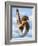 2629073-Sarah Morrissette-Framed Photographic Print