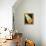 26CO-Pierre Henri Matisse-Framed Premier Image Canvas displayed on a wall