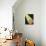 26CO-Pierre Henri Matisse-Giclee Print displayed on a wall