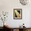 26CO-Pierre Henri Matisse-Framed Giclee Print displayed on a wall