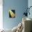 26CO-Pierre Henri Matisse-Mounted Giclee Print displayed on a wall