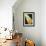 26CO-Pierre Henri Matisse-Framed Giclee Print displayed on a wall