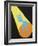 26CO-Pierre Henri Matisse-Framed Giclee Print