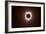 271 Eclipse 2017-Gordon Semmens-Framed Giclee Print