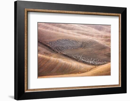 288 And Shepherd-Marcin Sobas-Framed Photographic Print