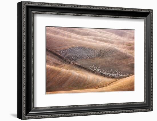 288 And Shepherd-Marcin Sobas-Framed Photographic Print