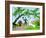 2CO-Pierre Henri Matisse-Framed Giclee Print