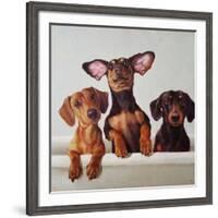 3 Amigos-Lucia Heffernan-Framed Art Print