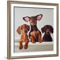 3 Amigos-Lucia Heffernan-Framed Art Print