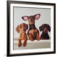 3 Amigos-Lucia Heffernan-Framed Art Print