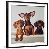 3 Amigos-Lucia Heffernan-Framed Art Print