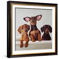 3 Amigos-Lucia Heffernan-Framed Art Print