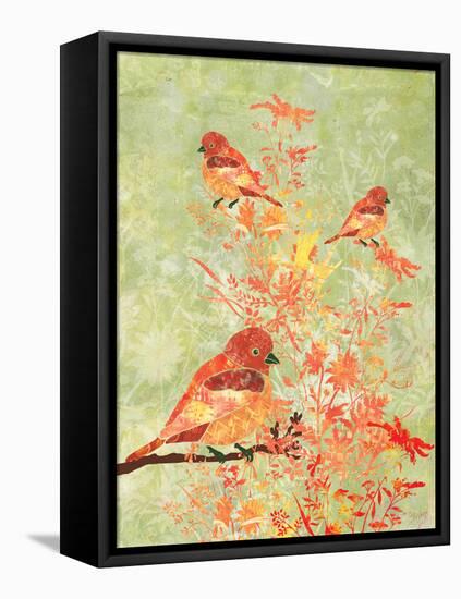 3 Birds in a Bush-Bee Sturgis-Framed Stretched Canvas