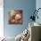 3-D Foetal Ultrasound-null-Photographic Print displayed on a wall