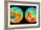 3-D Topography of Mars-null-Framed Photographic Print