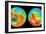 3-D Topography of Mars-null-Framed Photographic Print