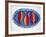 3 Fish on a Plate, 2004-Julie Nicholls-Framed Giclee Print