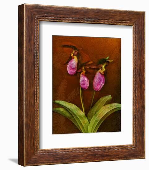 3 Ladyslippers with Hemlock-null-Framed Premium Giclee Print