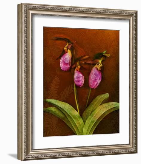 3 Ladyslippers with Hemlock-null-Framed Art Print