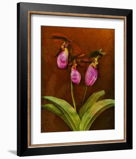 3 Ladyslippers with Hemlock-null-Framed Art Print