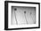 3 Palms Bw-John Gusky-Framed Photographic Print