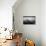 3 Palos-Moises Levy-Photographic Print displayed on a wall